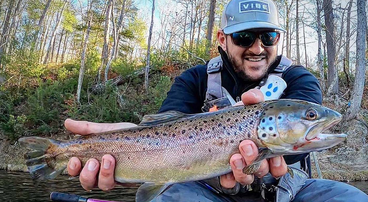 Which Lure Is The Best For Trout Fishing?