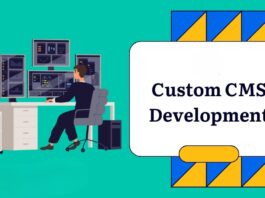 Custom CMS Development