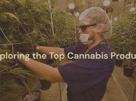 Exploring the Top Cannabis Products